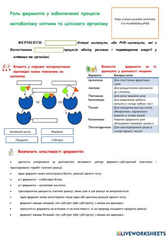 Роль ферментів у забезпеченні процесів  метаболізму клітини та цілісного організму