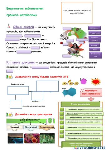 Енергетичне забезпечення  процесів метаболізму