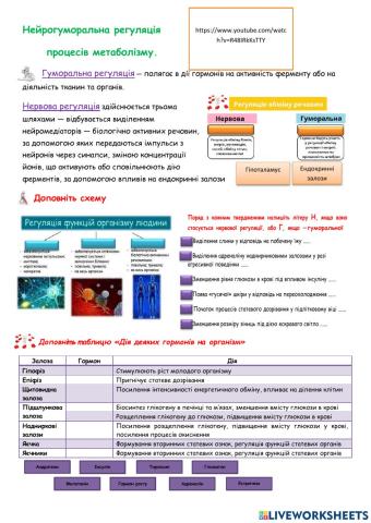 Нейрогуморальна регуляція  процесів метаболізму