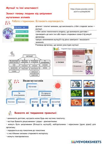 Мутації та їхні властивості Захист геному людини від шкідливих  мутагенних впливів