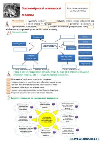 Закономірності мінливості людини