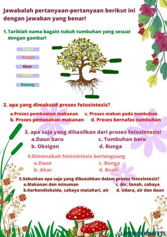 Kuis Evalusi Pemahaman Tumbuhan dan Fotosisntesis