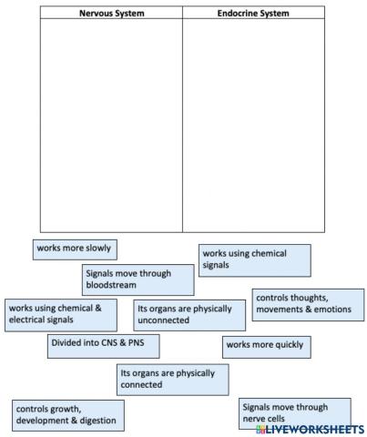 Nervous Vs Endocrine System