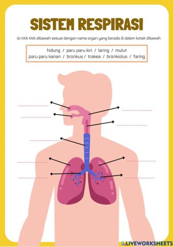 LKPD Praktikum Bahaya Rokok Pernapasan