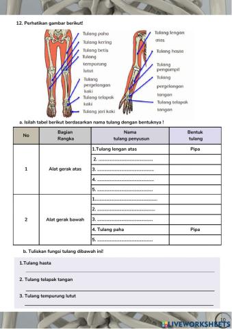 Sistem gerak