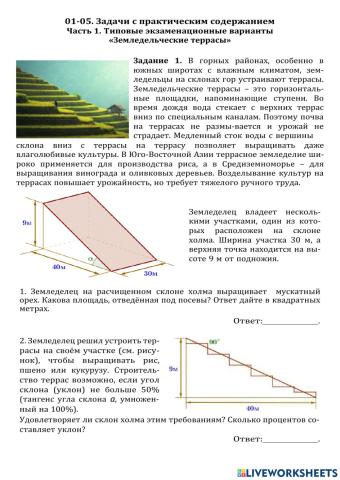 Земледельческие террасы