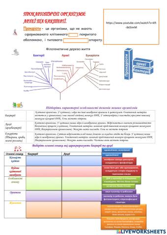 Прокаріотичні організми: археї та бактерії.