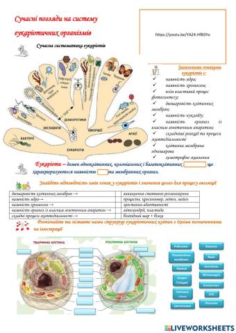 Сучасні погляди на систему  еукаріотичних організмів