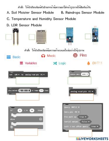 Test P.3