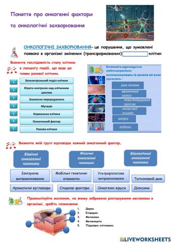 Поняття про онкогенні фактори  та онкологічні захворювання