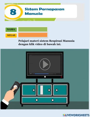 Sistem Pernapasan Manusia