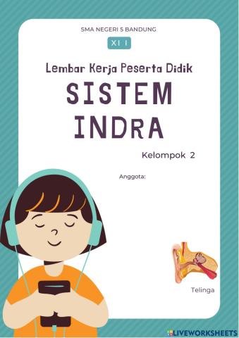 LKPD Sistem Indra Kelompok 2