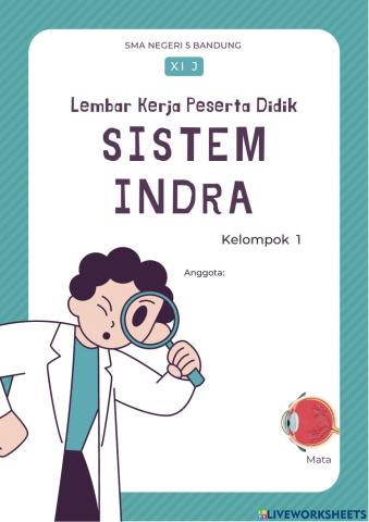 LKPD Sistem Indra Kelompok 1