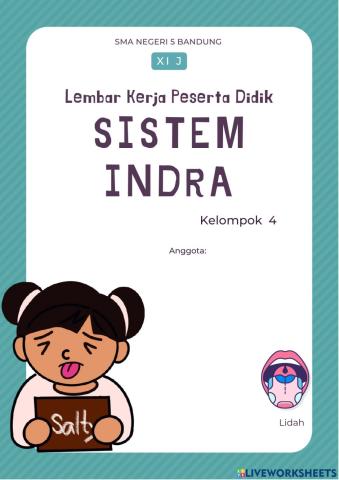 LKPD Sistem Indra Kelompok 4