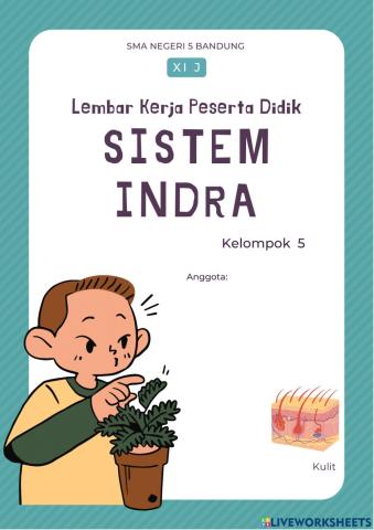 LKPD Sistem Indra Kelompok 5