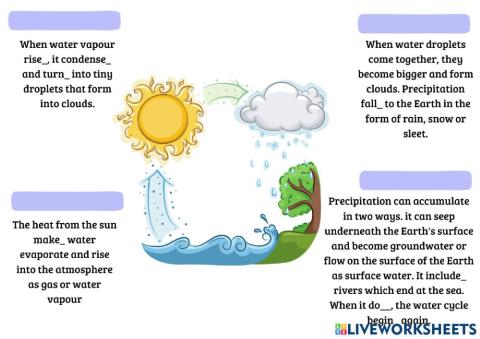 The water cycle