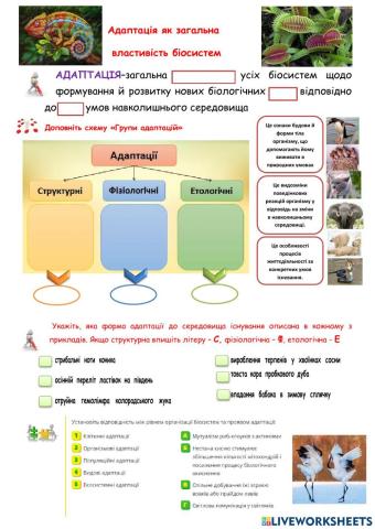 Адаптація як загальна  властивість біосистем