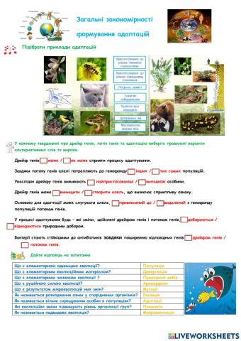 Загальні закономірності формування адаптацій