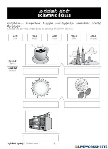 Tutor Sukses 2023 Sains Tahun 1(Tamil)