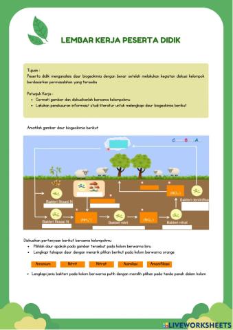 LK Daur Biogeokimia (Kel. Baru Mulai)