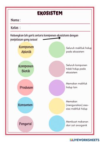 Asesmen Diagnostik Ekosistem