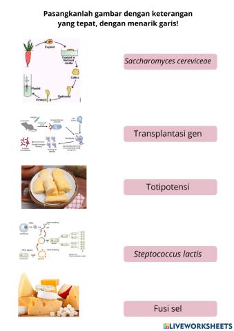 Bioteknologi