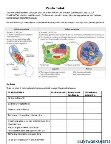 Zelula eukariotoa eta prokariotoak identifikatzen