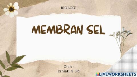 Membran sel