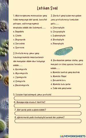 LKPD Biologi Protista (Latihan Soal)