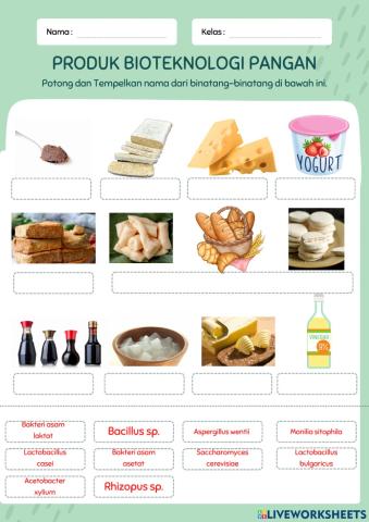 Bioteknologi pangan kelas 9 (produk dan mikroorganismenya)