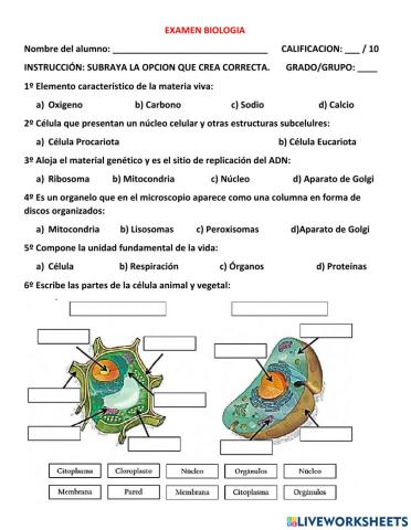 Examen biologia 1