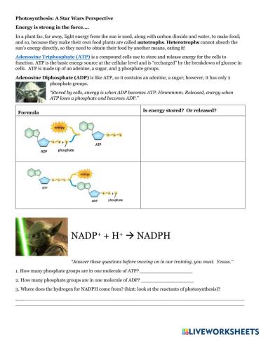 Unit 1 Photosynthesis