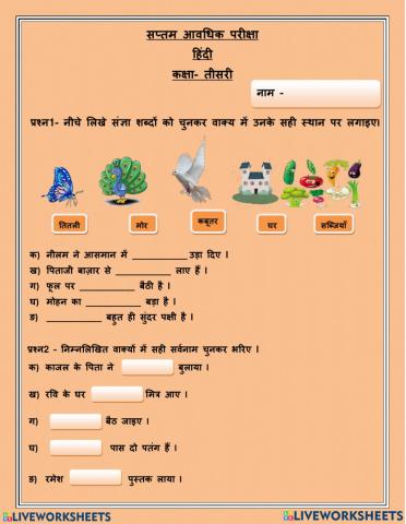 Hindi test