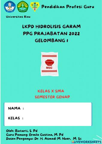 Lkpd hidrolisis garam