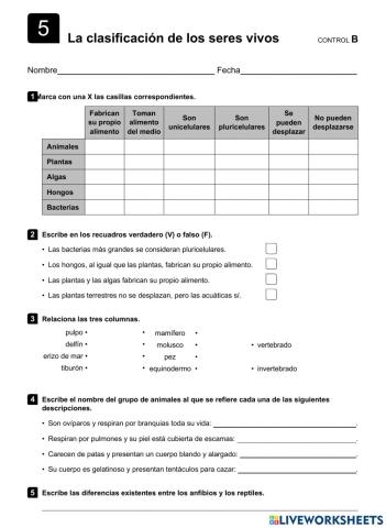 Clasificacion de los animales T5