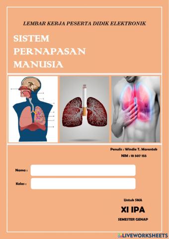 Sistem pernapasan manusia