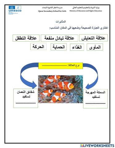 السمك المهرج وشقائق النعمان