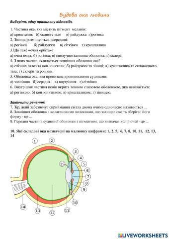 Будова ока людини