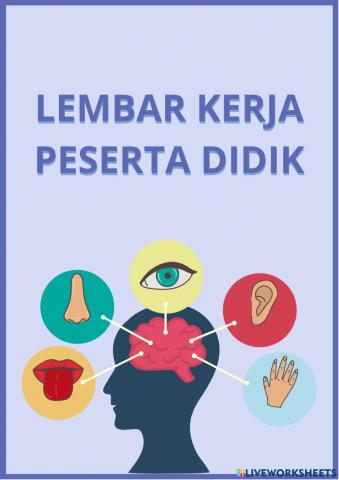 LKPD Sistem Indera