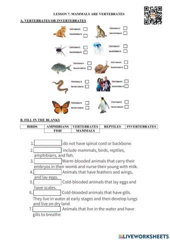 Lesson 7. mammals are vertebrates