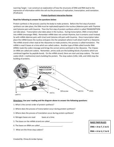 Protein Synthesis Interactive Review