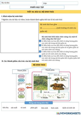 Bài 42: Hệ sinh thái