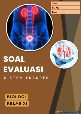 SOAL EVALUASI SISTEM EKSKRESI