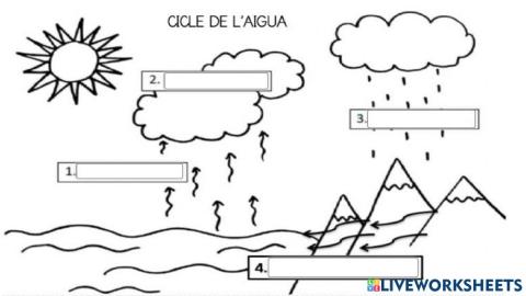 Cicle de l'aigua