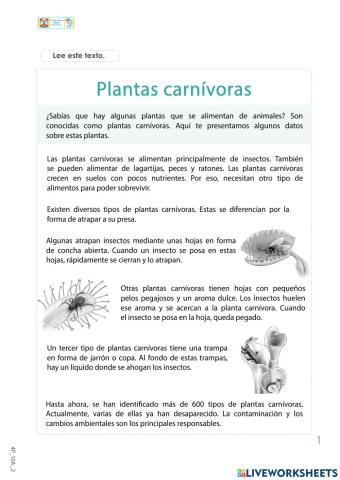 Plantas carnivoras