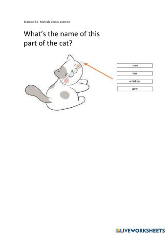 What's the name of this part of the cat?