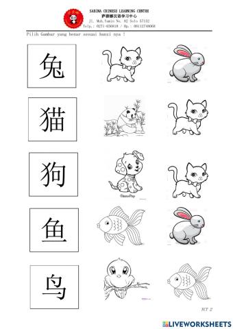 Mandarin animal kindergarten