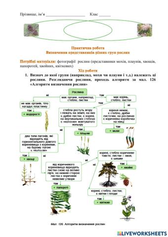 Практична робота -Визначення представників різних груп рослин-