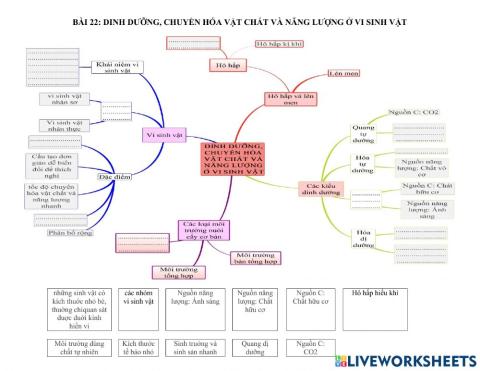 Dinh dưỡng, chuyển hóa vật chất và năng lượng ở vi sinh vật