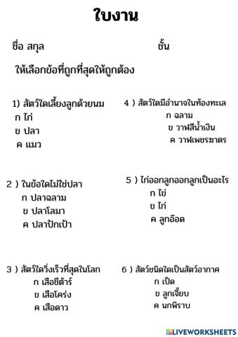 ช้อยส์